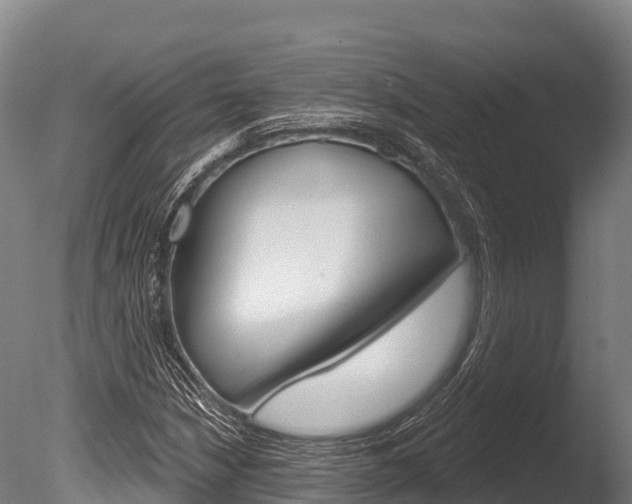 X0000086071210200703231004