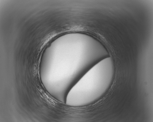 X0000086071212200703231004