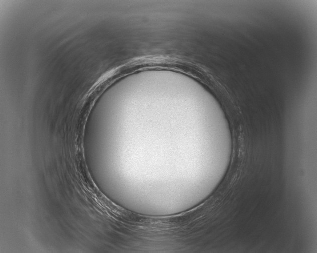 X0000086071213200703231004