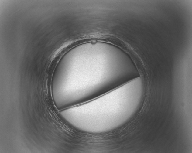 X0000086071214200703231004
