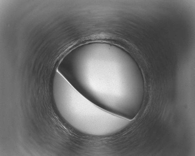 X0000086071217200703231005