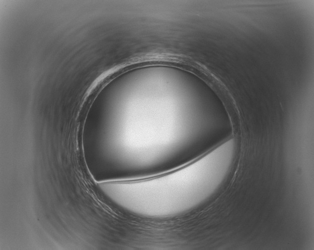 X0000086071222200703231005