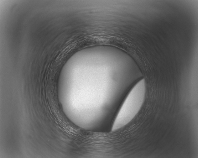 X0000086071249200703231004