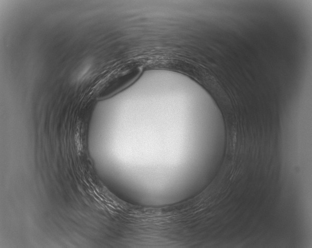 X0000086071250200703231004