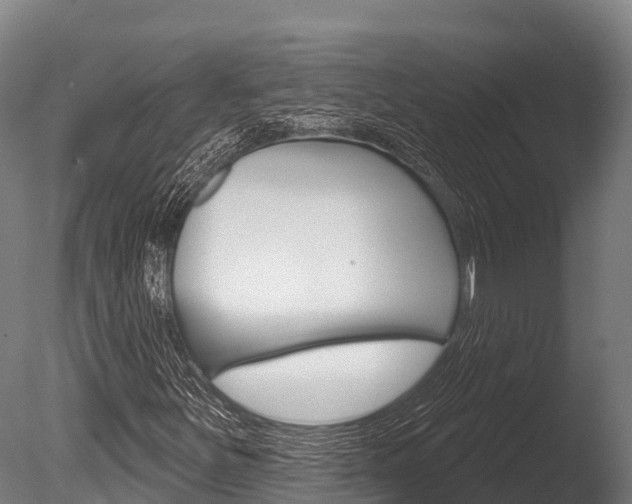 X0000086071251200703231004