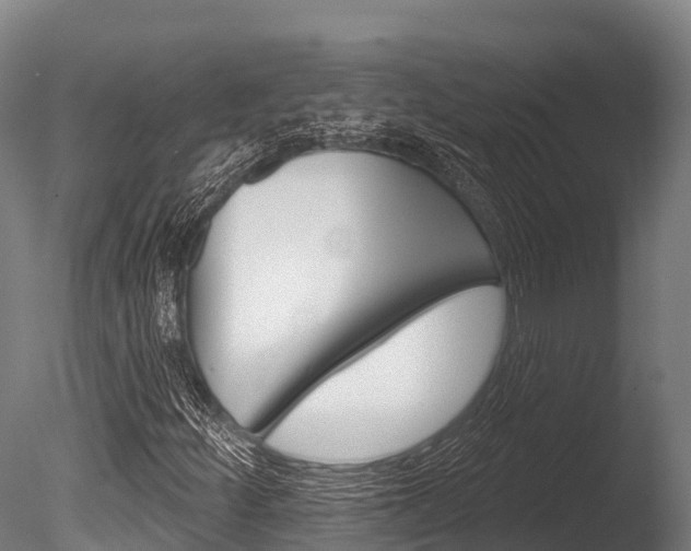 X0000086071252200703231004