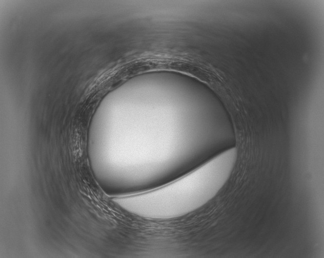 X0000086071253200703231004