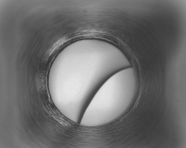 X0000086071259200703231004