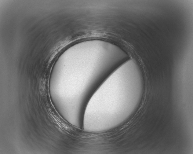 X0000086071260200703231004