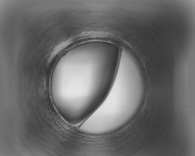 X0000086071261200703231004