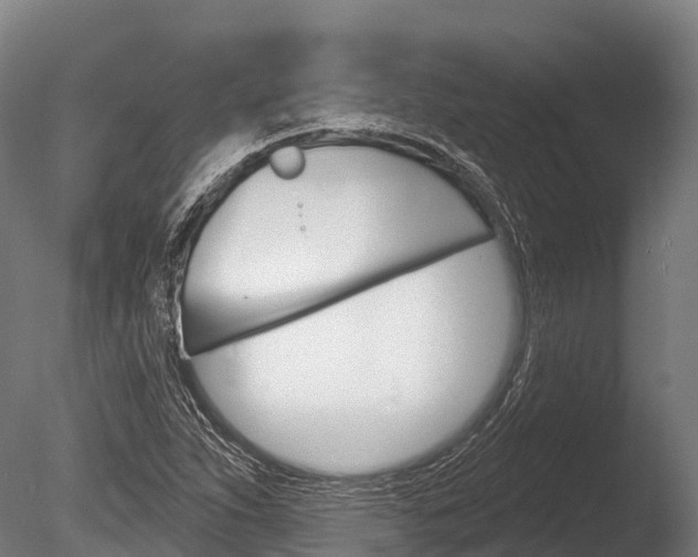 X0000086071263200703231004