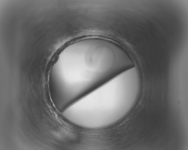 X0000086071264200703231004