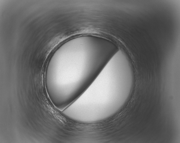 X0000086071268200703231004