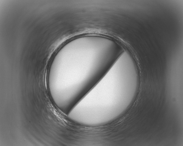 X0000086071272200703231004