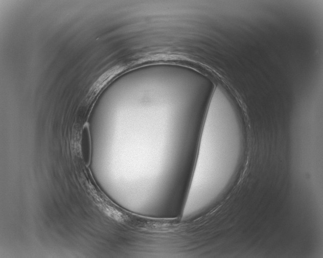 X0000086071273200703231004