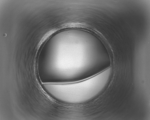 X0000086071277200703231004