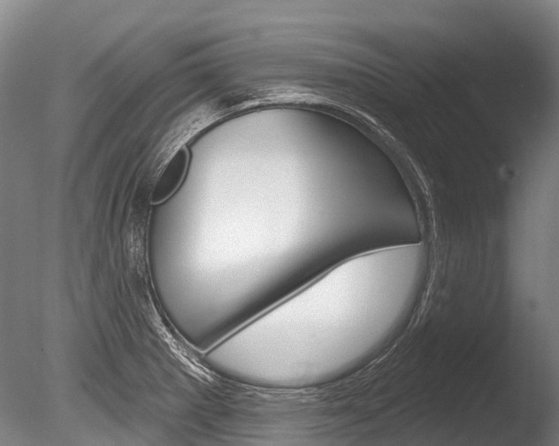 X0000086071281200703231004