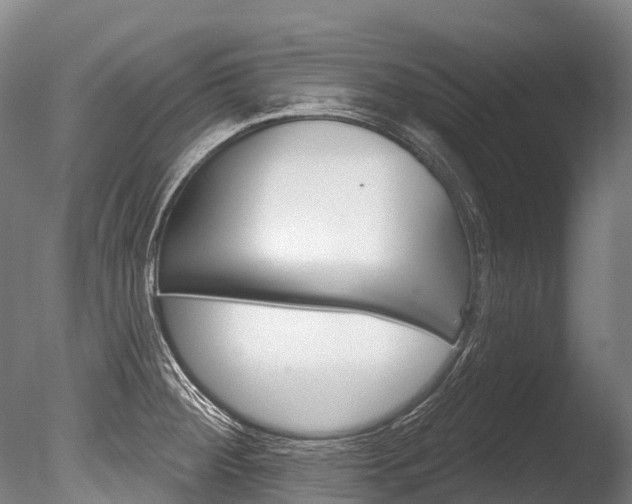 X0000086071284200703231004