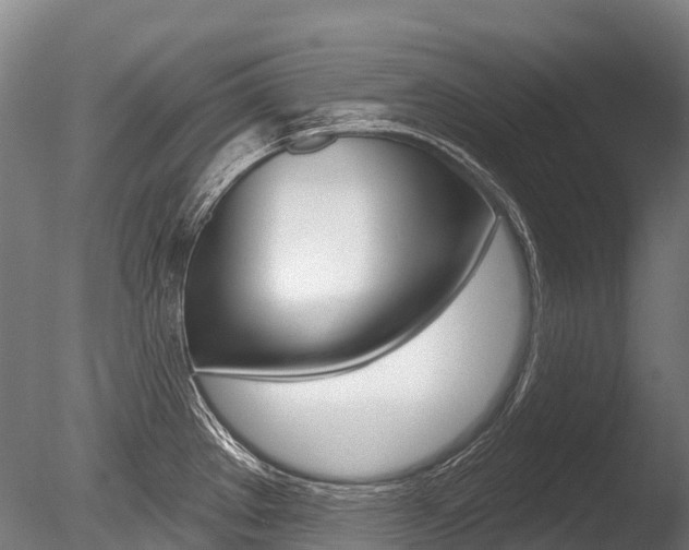 X0000086071289200703231004