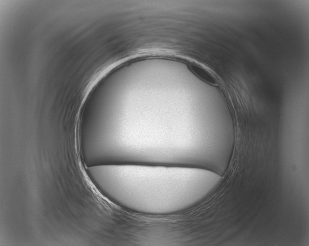 X0000086071295200703231003