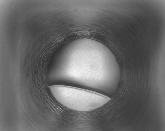 X0000086071297200703231003