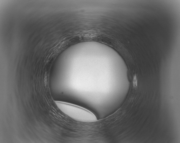 X0000086071299200703231003
