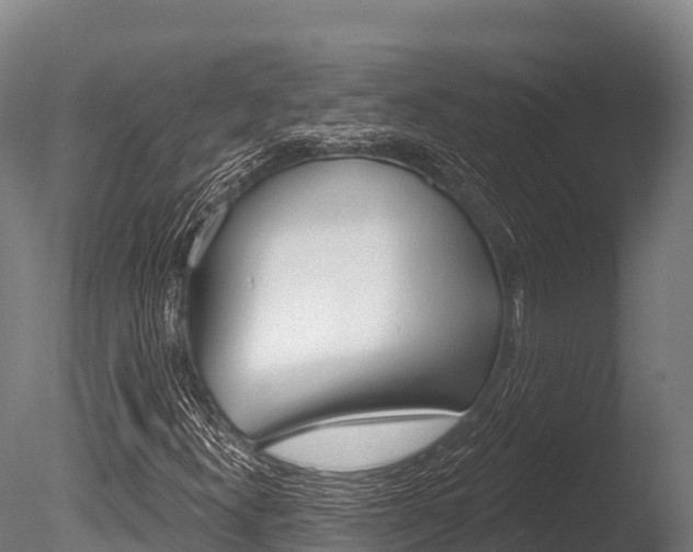 X0000086071300200703231003
