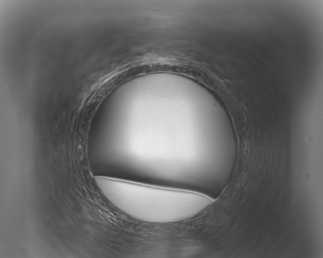 X0000086071303200703231003