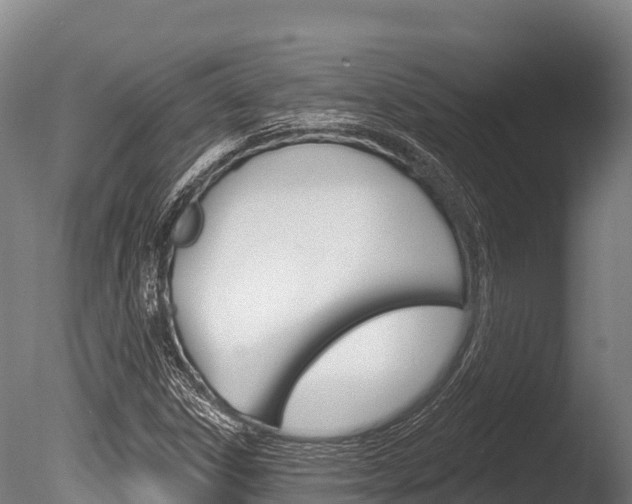 X0000086071306200703231003