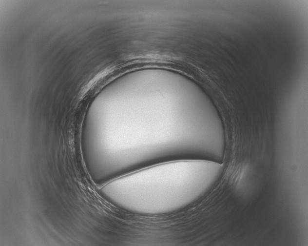 X0000086071307200703231003