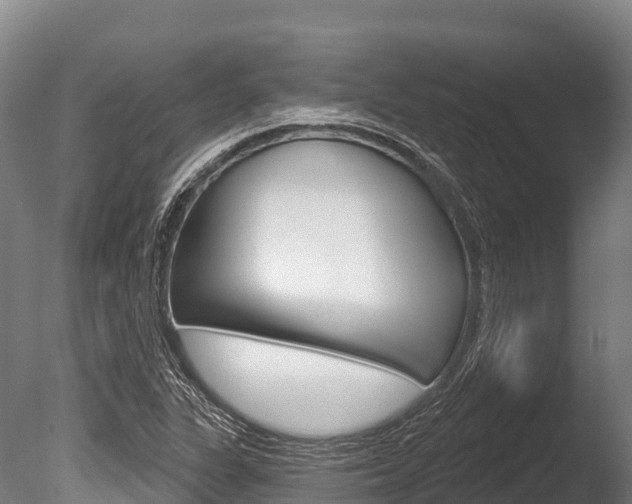 X0000086071311200703231003