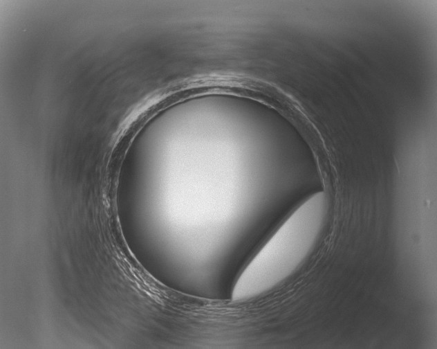 X0000086071312200703231003