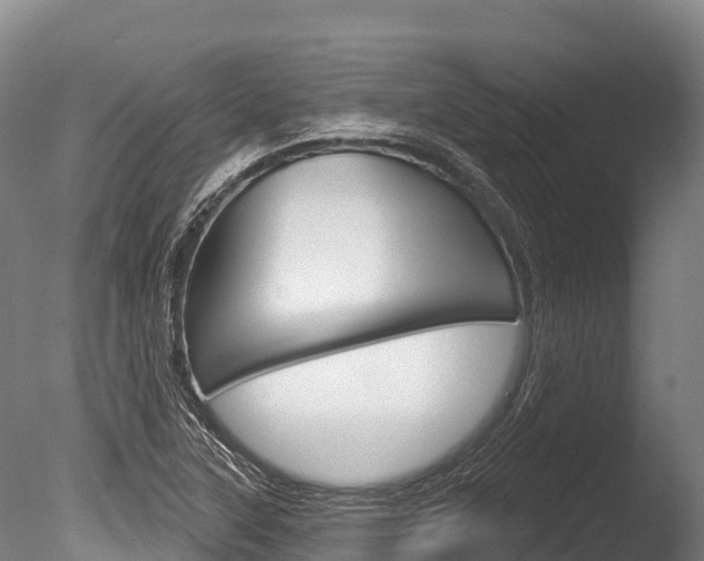 X0000086071315200703231003