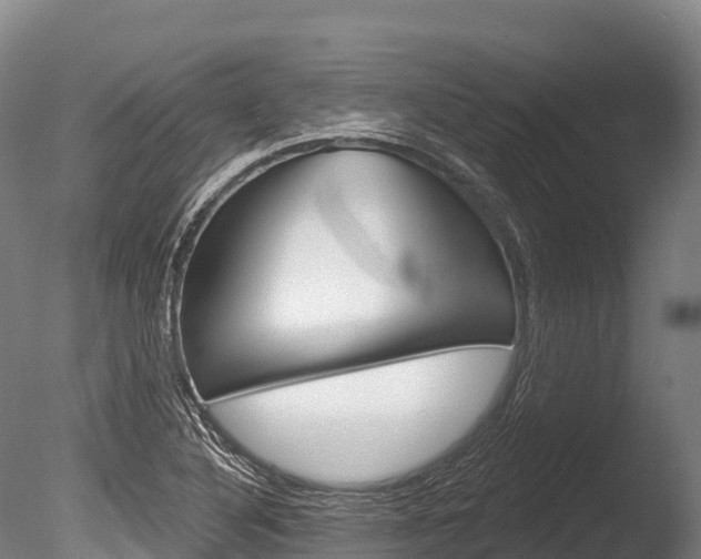 X0000086071316200703231003