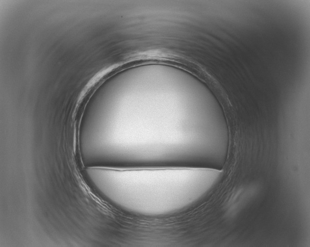 X0000086071323200703231003