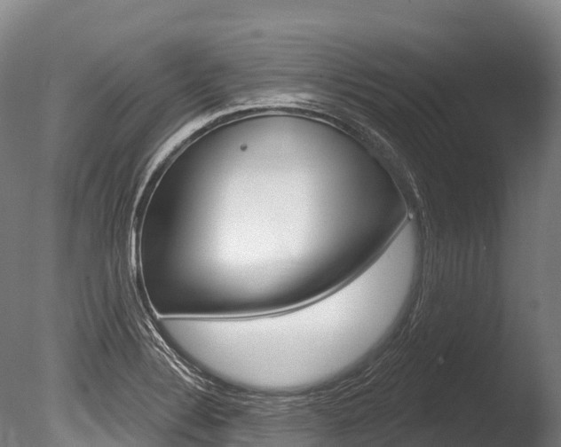 X0000086071324200703231003