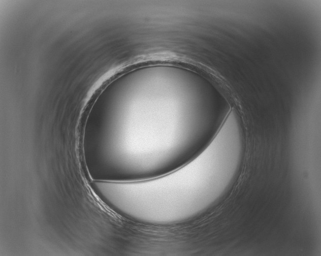 X0000086071326200703231003