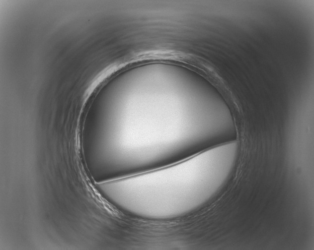X0000086071328200703231003