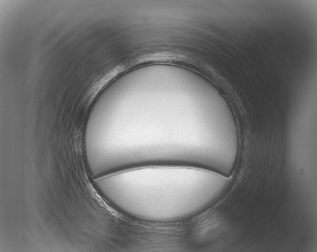 X0000086071329200703231003