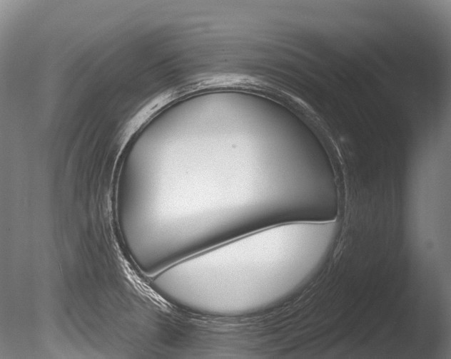 X0000086071330200703231003
