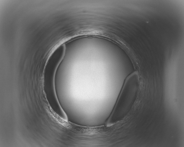 X0000086071332200703231003