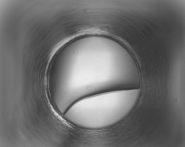 X0000086071335200703231003