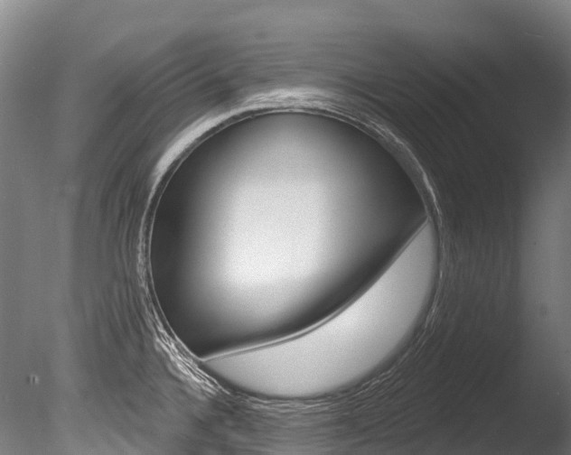X0000086071336200703231003