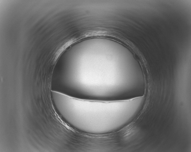 X0000086071337200703231003