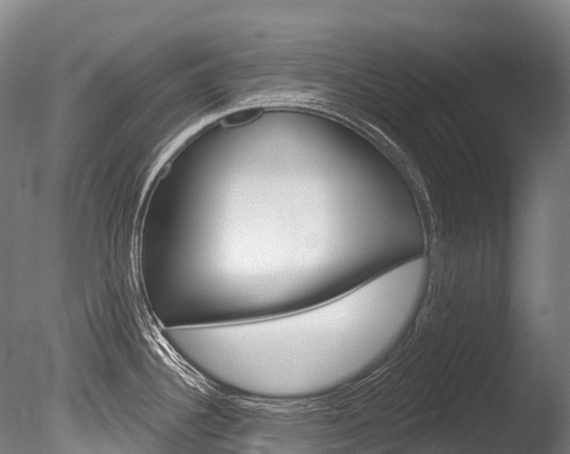 X0000086071340200703231003