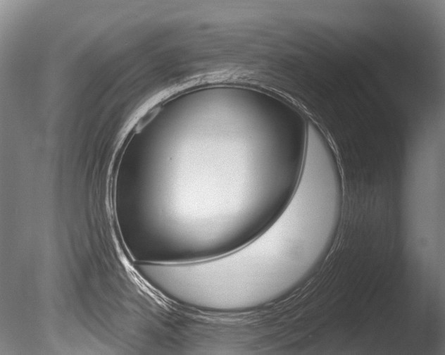 X0000086071342200703231003