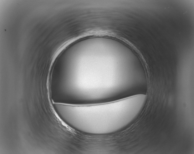 X0000086071343200703231003