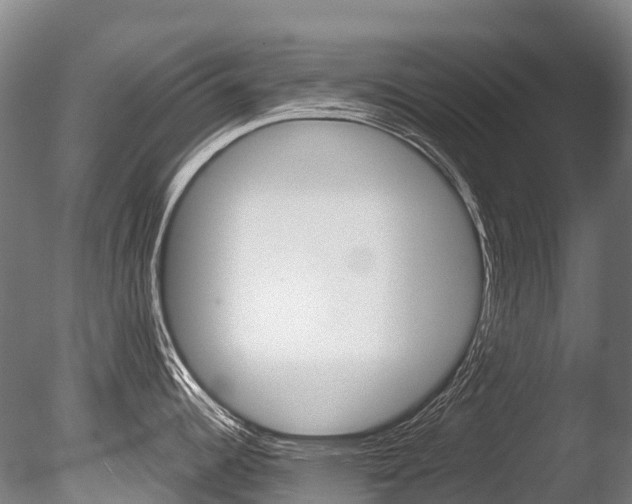 X0000086071344200703231003