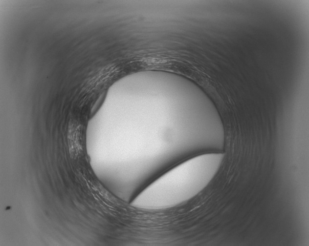 X0000086071346200703231003