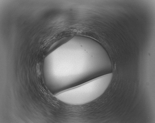 X0000086071347200703231003